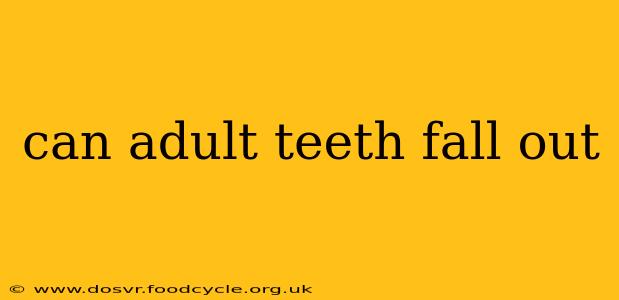 can adult teeth fall out