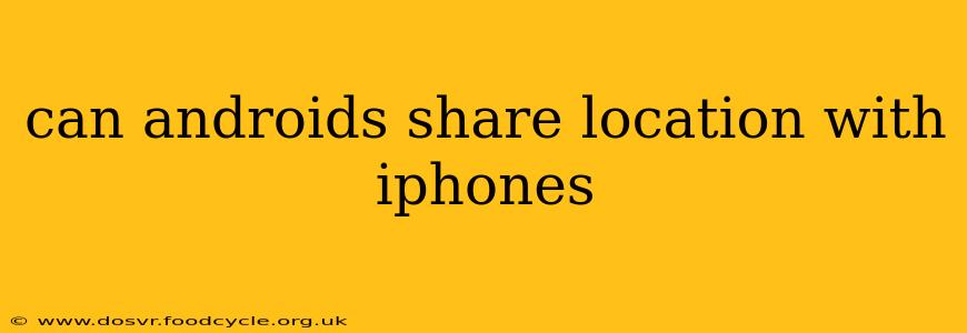 can androids share location with iphones