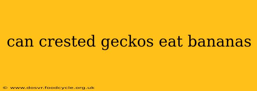 can crested geckos eat bananas