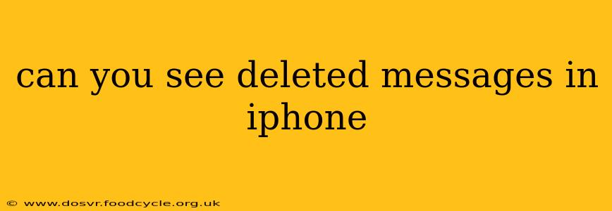 can you see deleted messages in iphone
