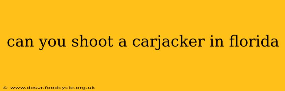 can you shoot a carjacker in florida