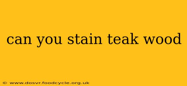 can you stain teak wood