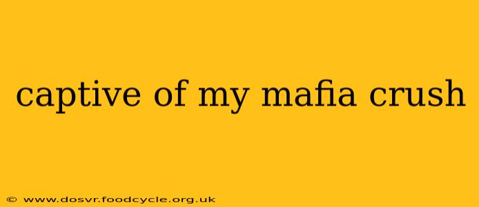 captive of my mafia crush