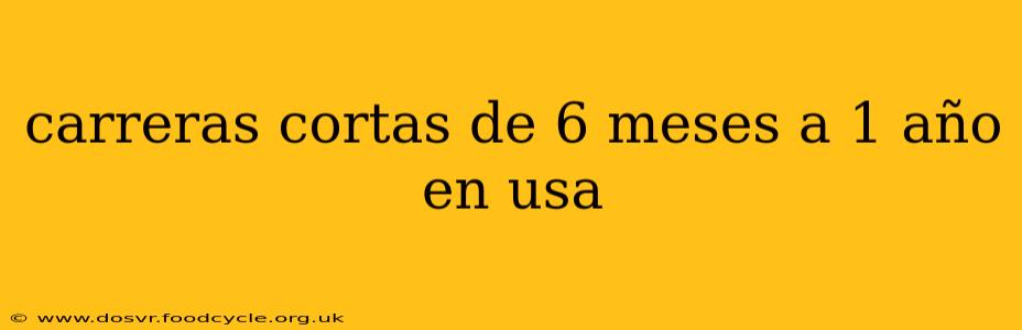 carreras cortas de 6 meses a 1 año en usa
