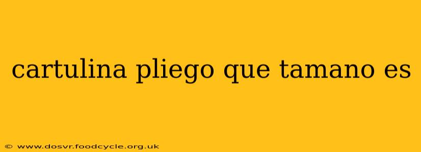 cartulina pliego que tamano es