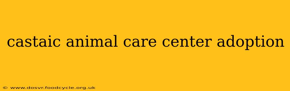 castaic animal care center adoption