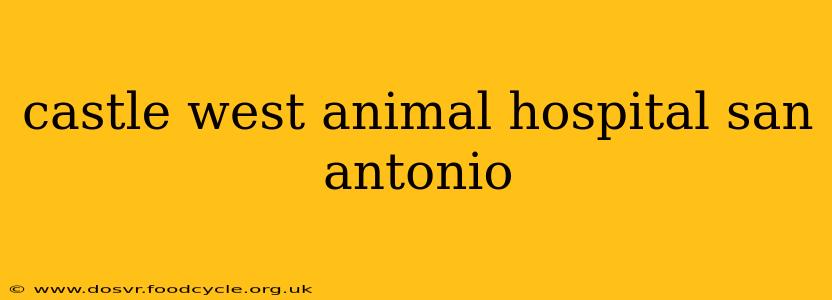 castle west animal hospital san antonio
