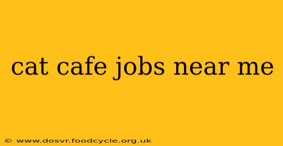 cat cafe jobs near me