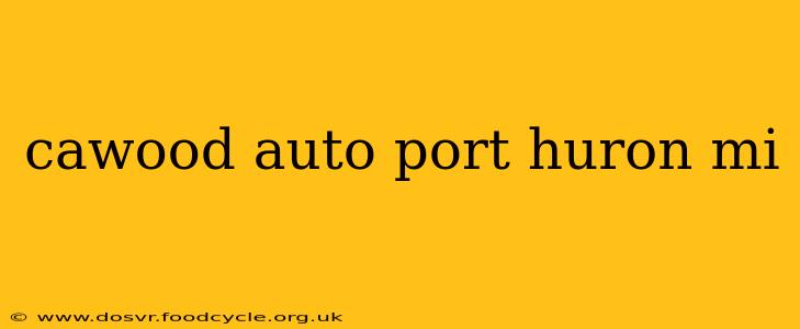 cawood auto port huron mi