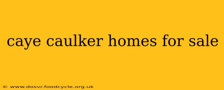 caye caulker homes for sale