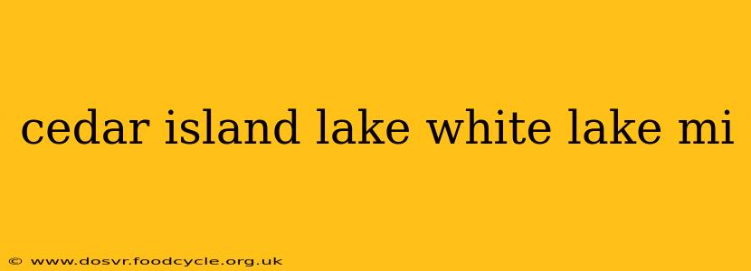 cedar island lake white lake mi