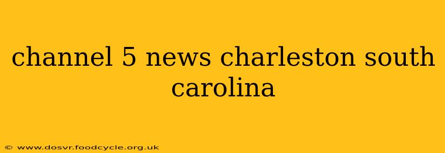 channel 5 news charleston south carolina