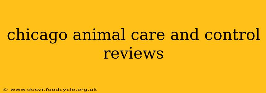 chicago animal care and control reviews