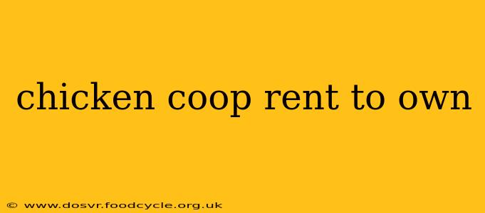 chicken coop rent to own