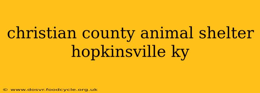 christian county animal shelter hopkinsville ky