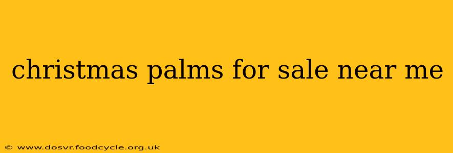 christmas palms for sale near me
