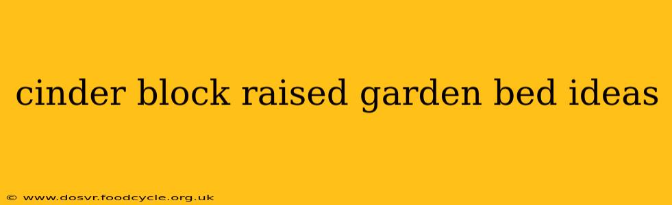 cinder block raised garden bed ideas