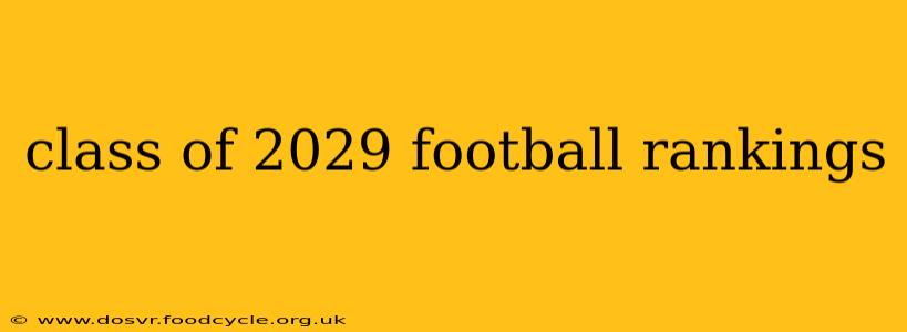 class of 2029 football rankings