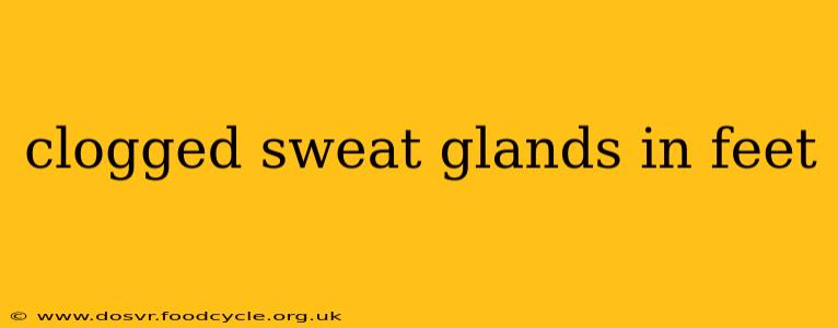 clogged sweat glands in feet