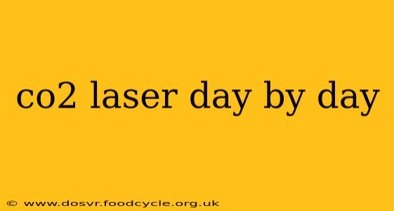 co2 laser day by day