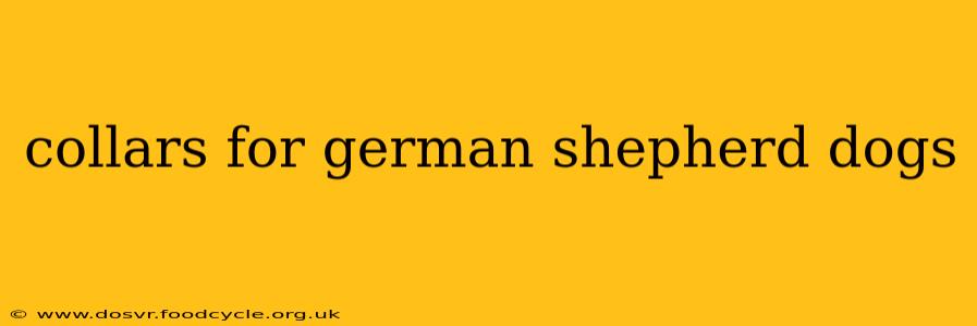 collars for german shepherd dogs