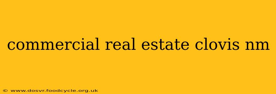 commercial real estate clovis nm