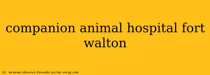 companion animal hospital fort walton