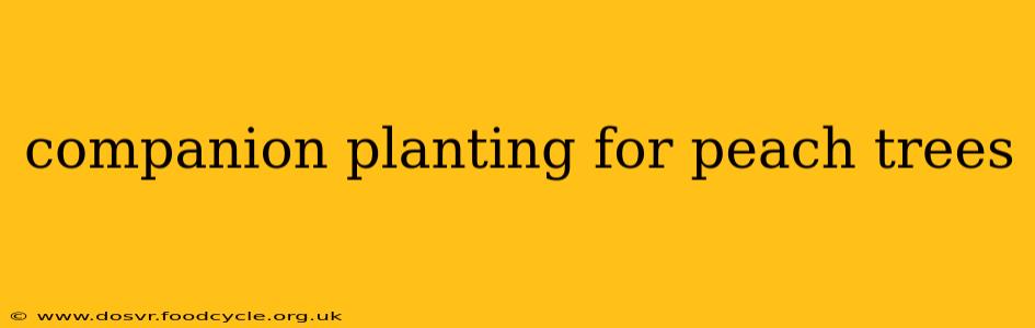 companion planting for peach trees