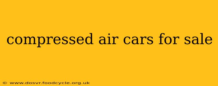 compressed air cars for sale