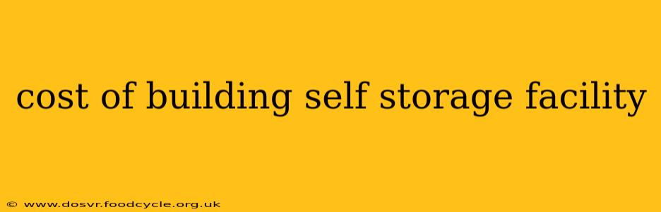 cost of building self storage facility