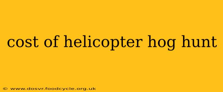 cost of helicopter hog hunt