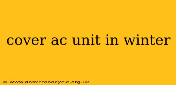 cover ac unit in winter