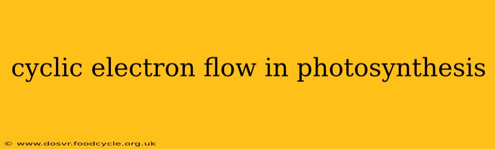 cyclic electron flow in photosynthesis