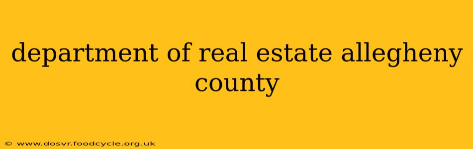 department of real estate allegheny county