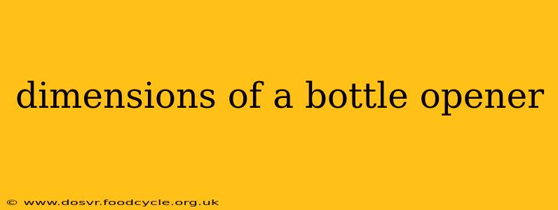 dimensions of a bottle opener