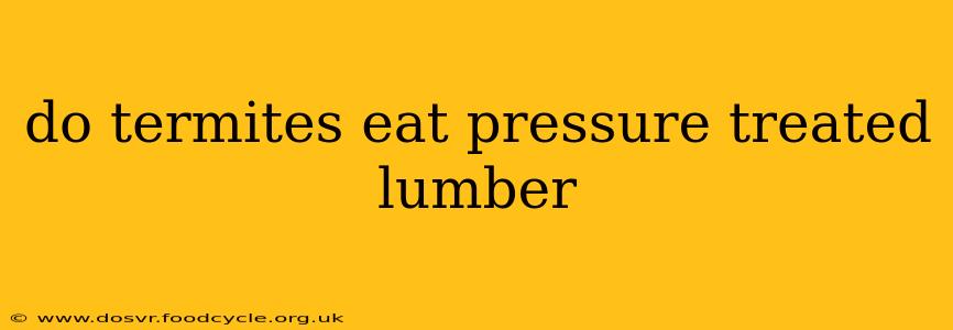 do termites eat pressure treated lumber