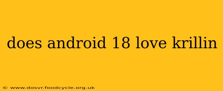 does android 18 love krillin