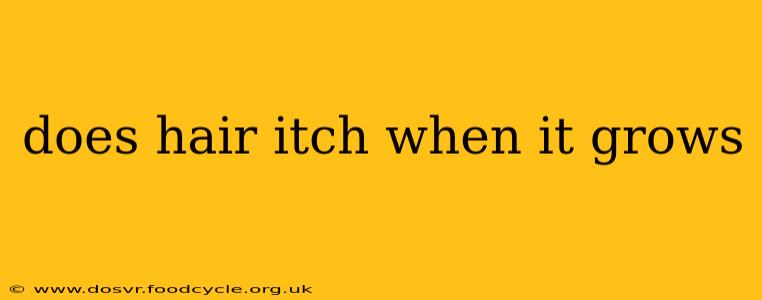 does hair itch when it grows