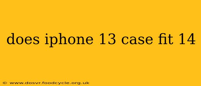 does iphone 13 case fit 14