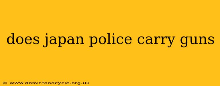 does japan police carry guns