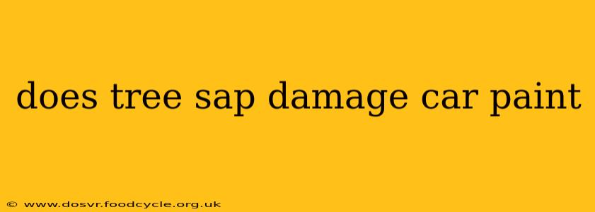 does tree sap damage car paint