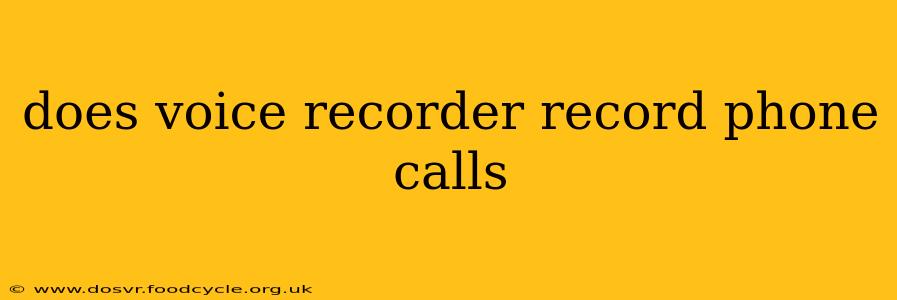 does voice recorder record phone calls