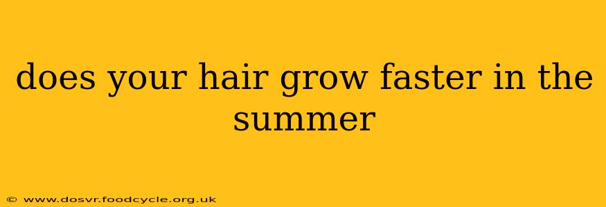 does your hair grow faster in the summer