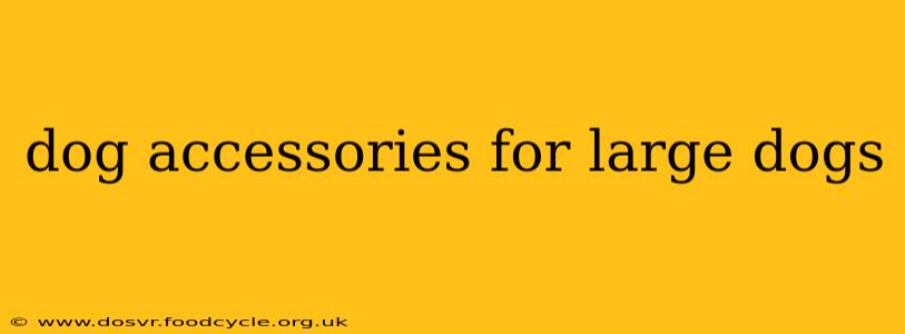 dog accessories for large dogs