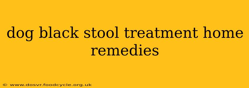 dog black stool treatment home remedies