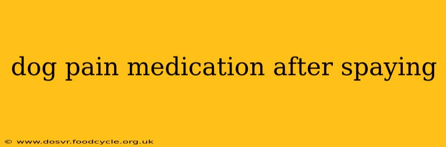 dog pain medication after spaying