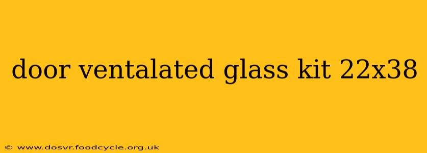 door ventalated glass kit 22x38