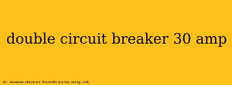 double circuit breaker 30 amp