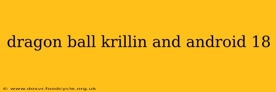dragon ball krillin and android 18