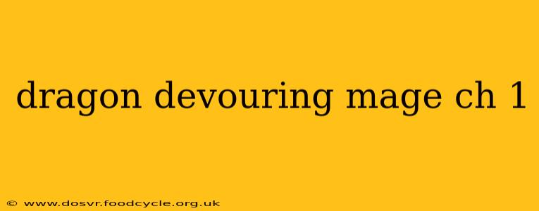dragon devouring mage ch 1